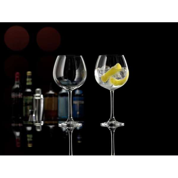 Bar Retro Gin Glasses 680ML (2) - Chefs Kiss